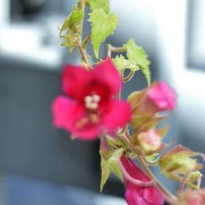 Meet your Posher, Jd